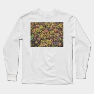 Aerial top down view of colorful autumn forest Long Sleeve T-Shirt